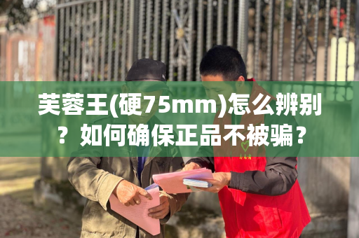 芙蓉王(硬75mm)怎么辨别？如何确保正品不被骗？